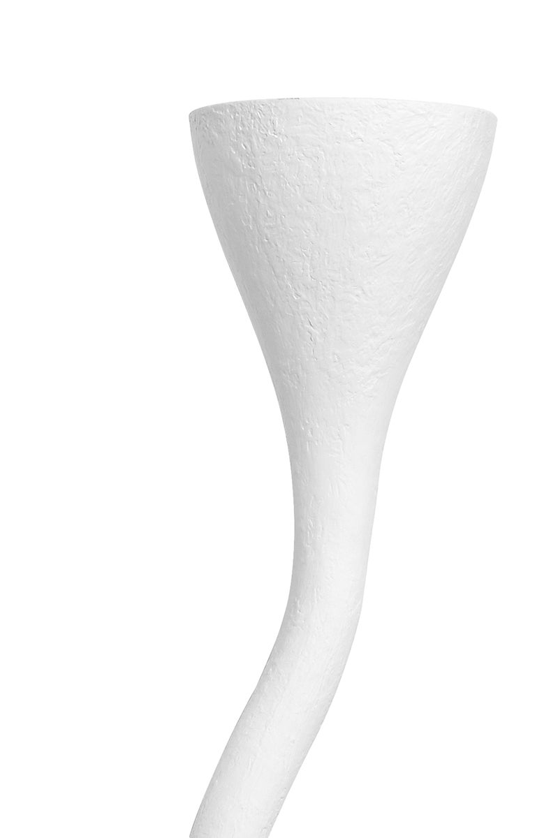 Canni Single Wall Sconce