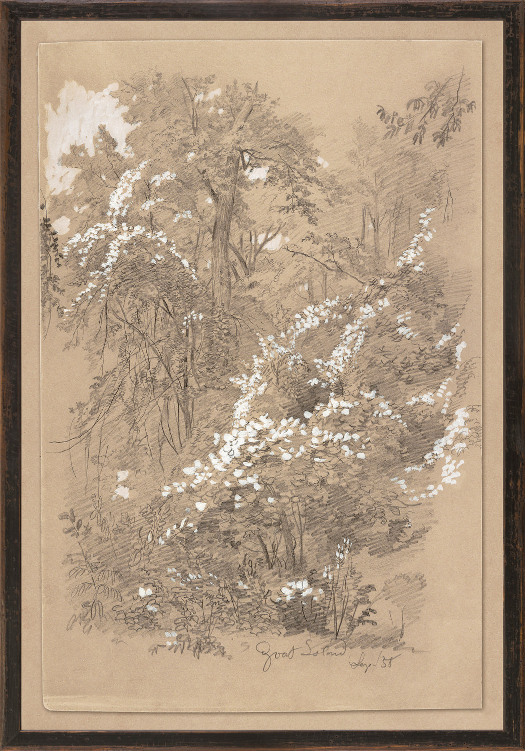 Goat Island c. 1858