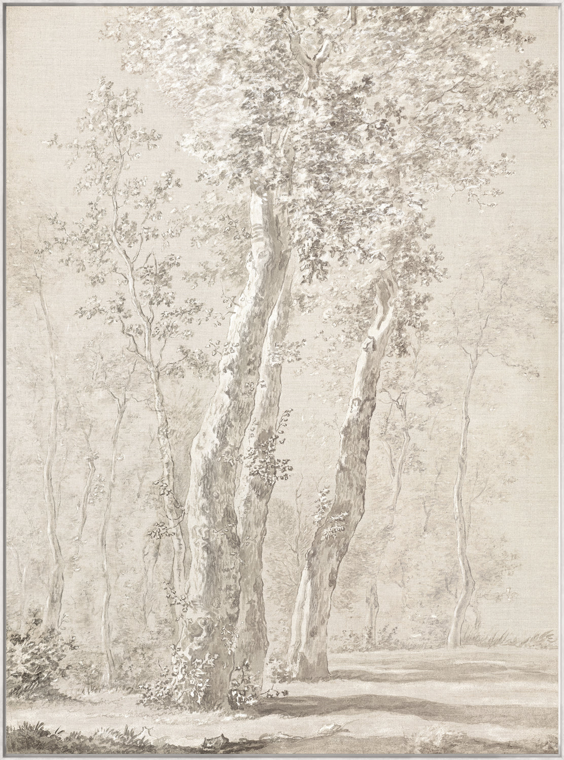 Croata Landscape