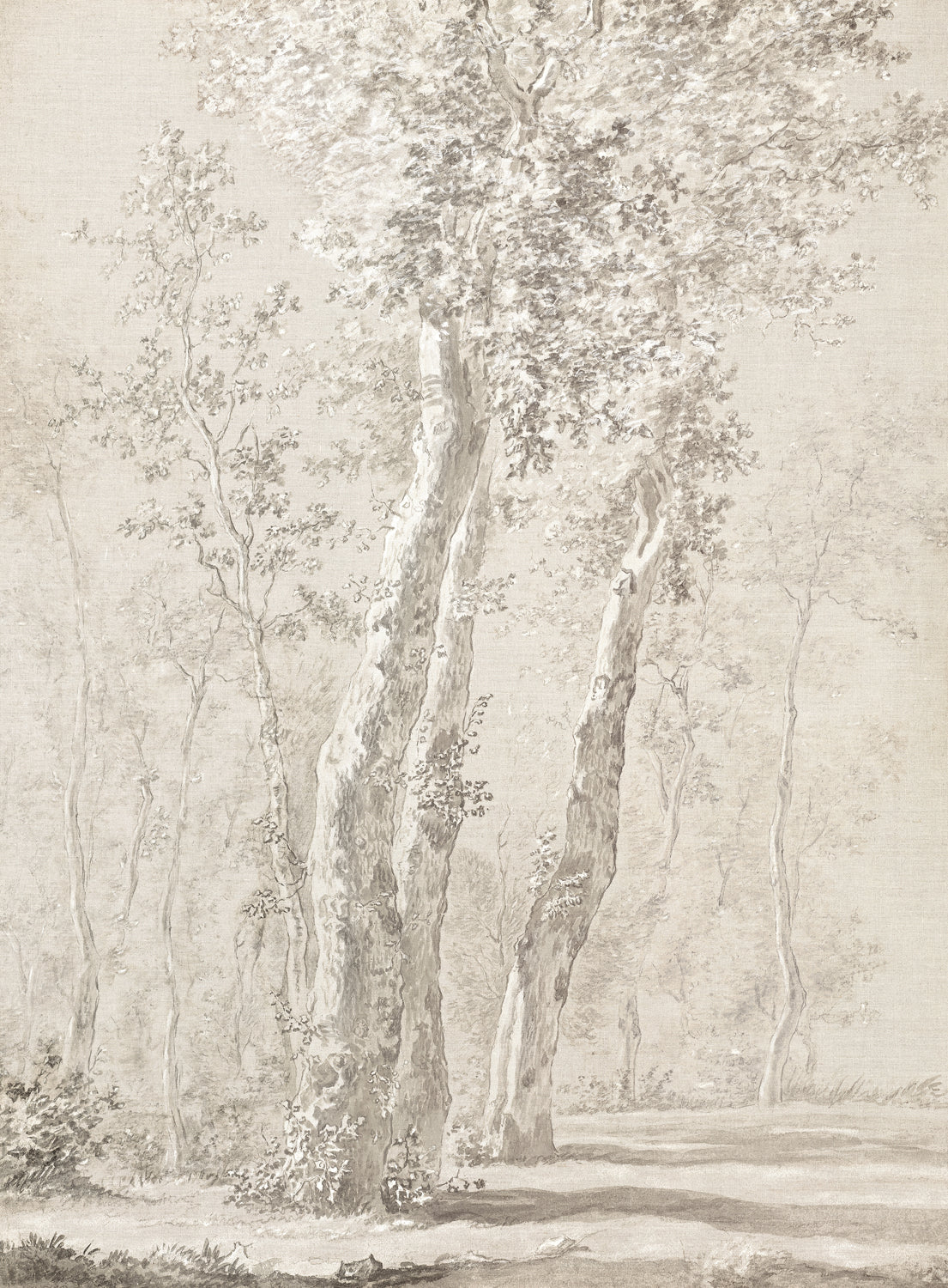 Croata Landscape