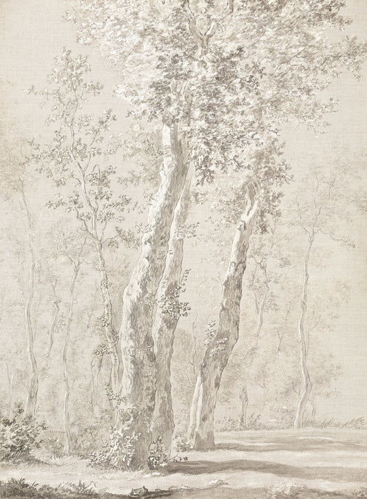 Croata Landscape