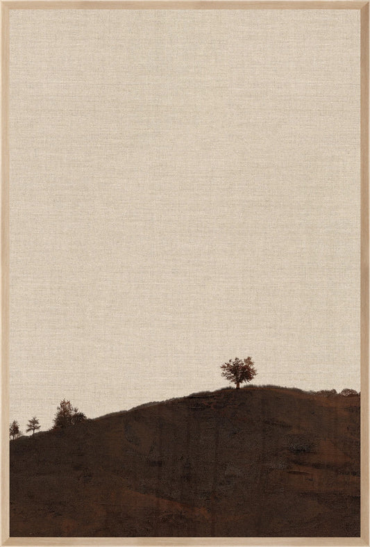 Flecheira Landscape No. 2