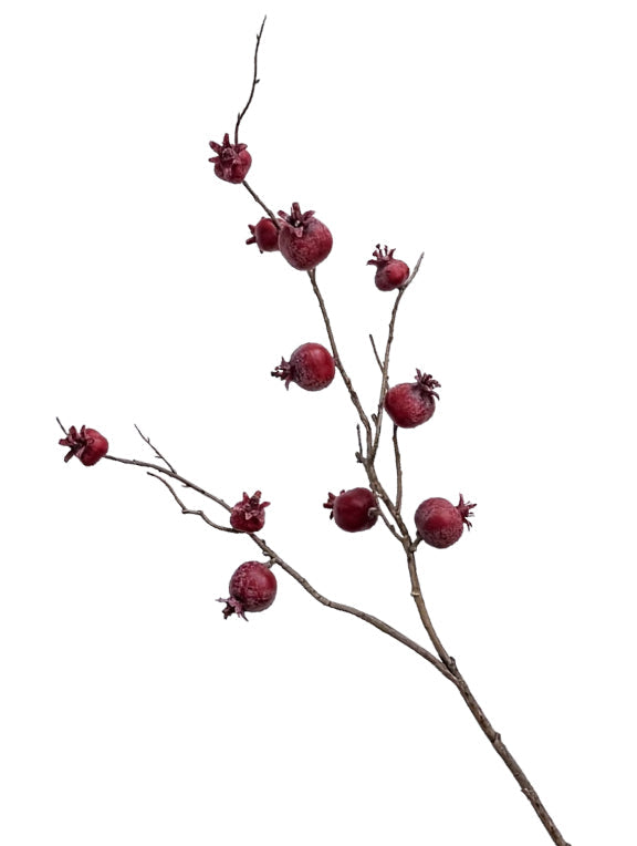 Pomegranate Sprig