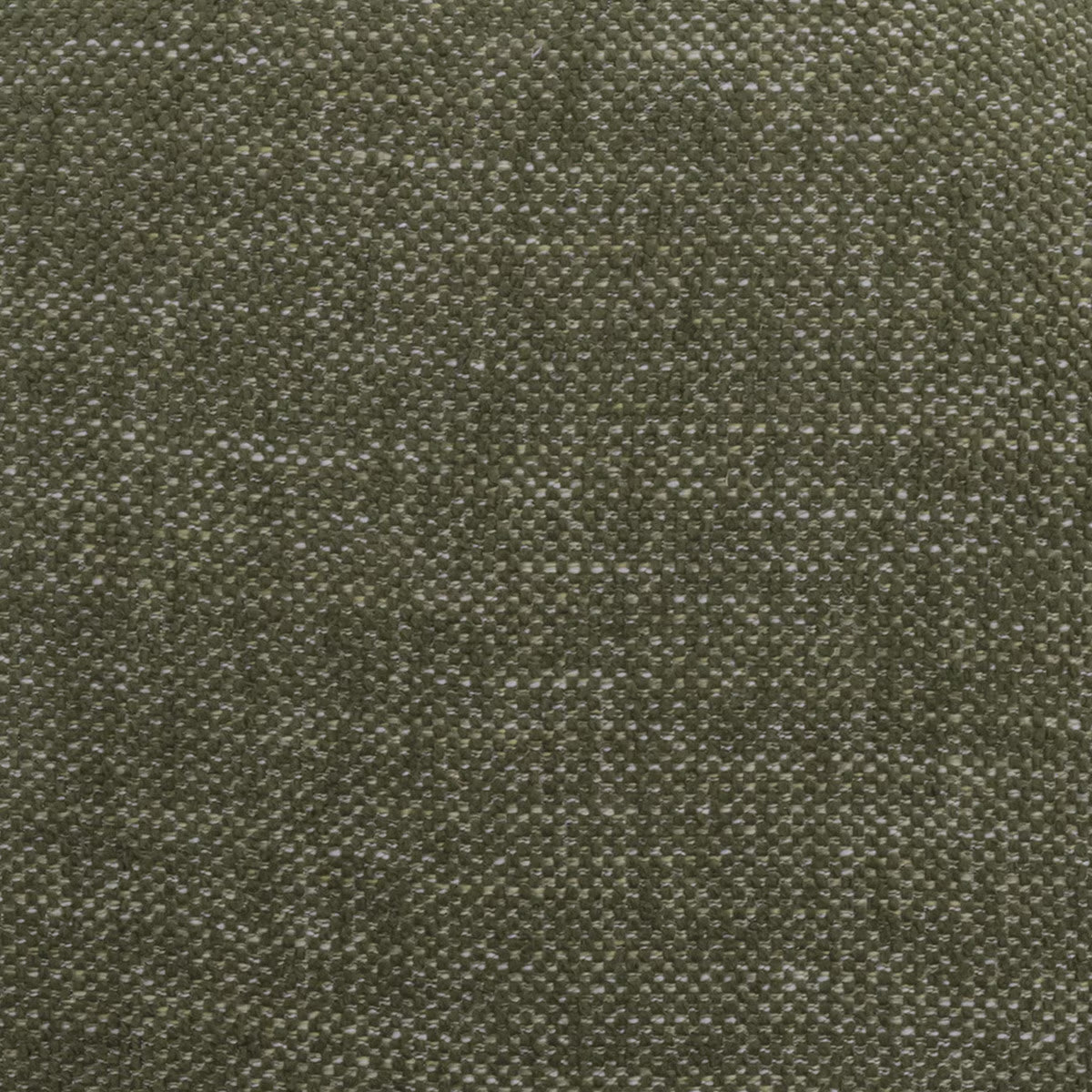 Aurora Dining Chair