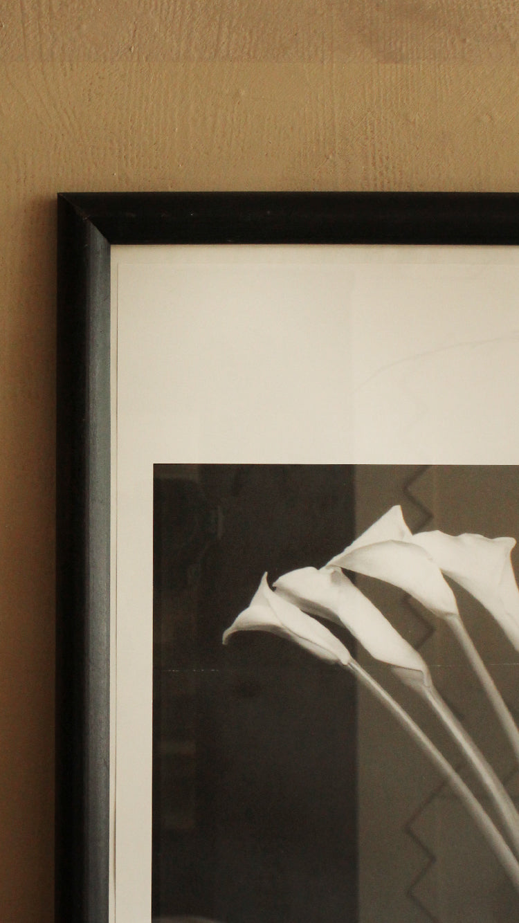 Vintage 'Arums' Framed Print by Pierre Michaud