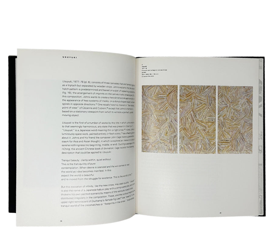 Jasper Johns Work Since 1974, 1989 Hardcover