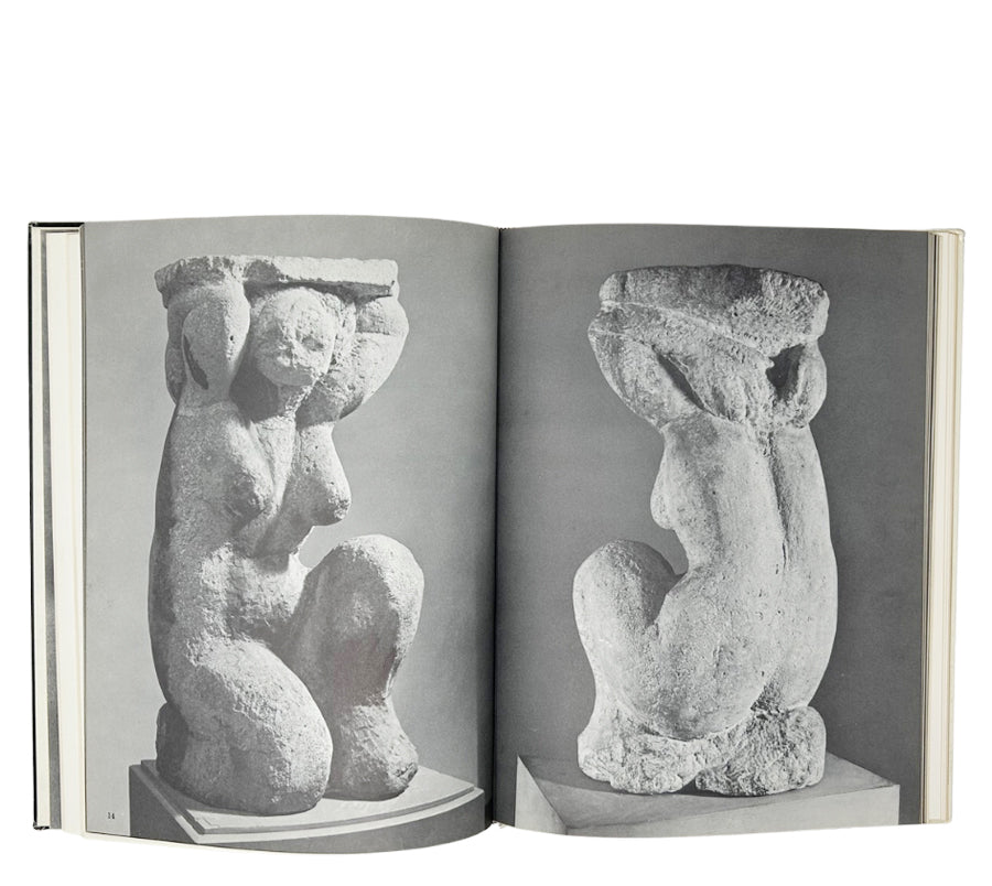 Modigliani The Sculptor 1962 Hardcover