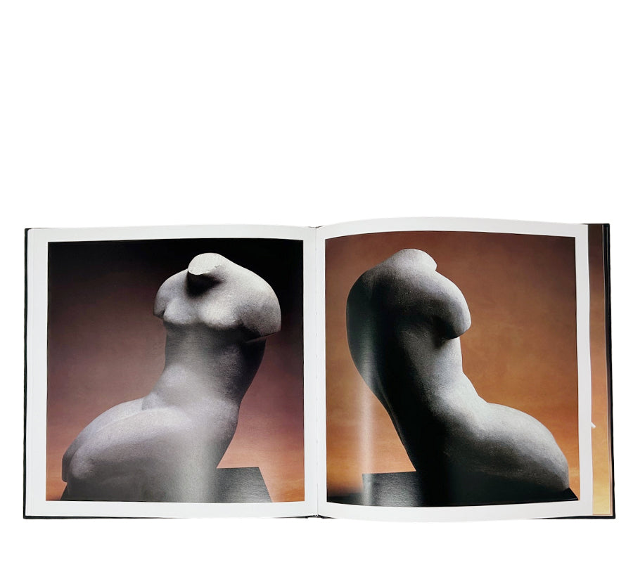 E.B. Cox a Life in Sculpture 1999 Hardcover