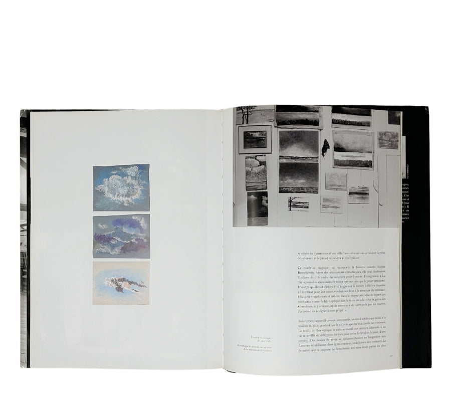 Micheline Beauchemin 2009 Hardcover