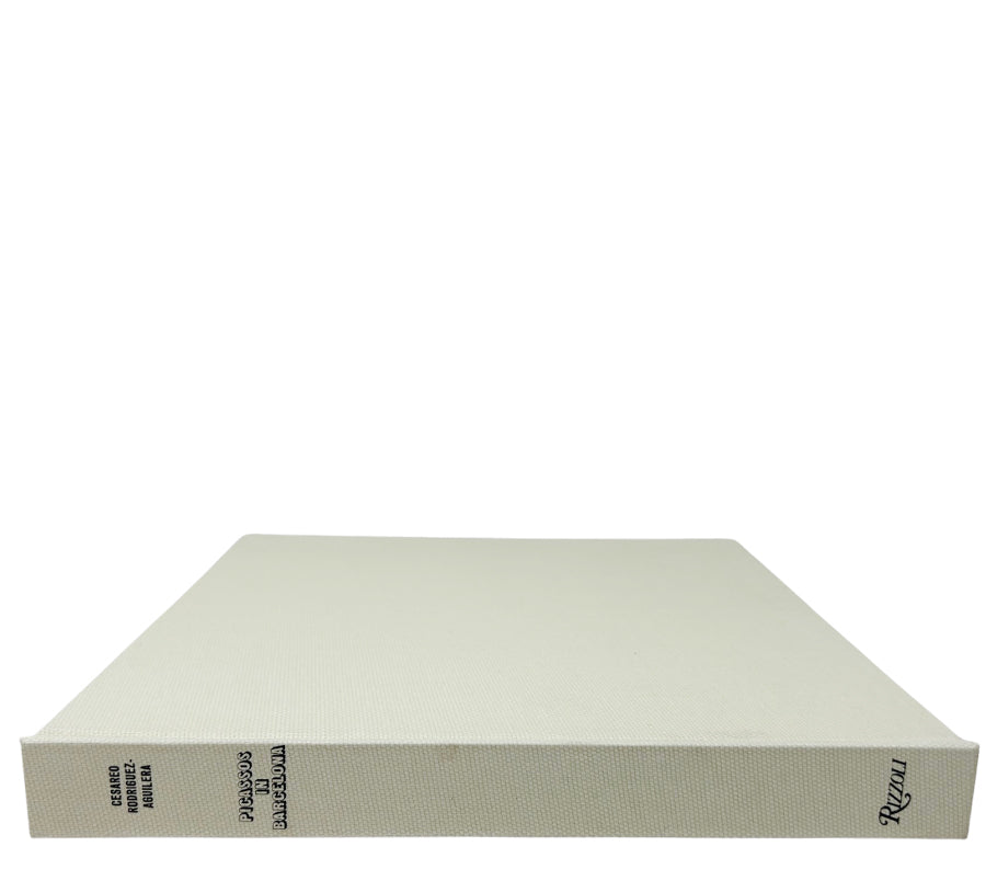 Picassos in Barcelona 1975 Hardcover