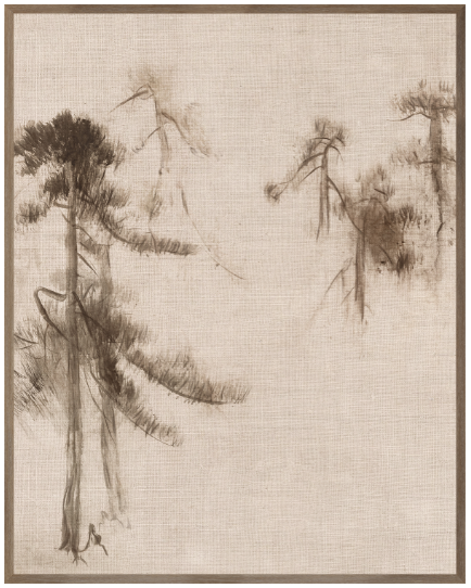 Pines IV